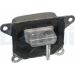 Delphi Lagerung, Motor TEM053