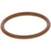BOSCH Dichtring F 00V P01 005