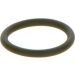 BOSCH Dichtring F 00R J01 452