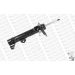 Stoßdämpfer C2508R Stoßdämpfer C2508R