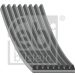 FEBI BILSTEIN 45833 Keilrippenriemen