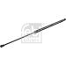 FEBI BILSTEIN 177356 Gasfeder, Koffer-/Laderaum