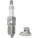 6x BOSCH 0 242 229 655 Zündkerze M 14 x 1,25