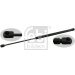 FEBI BILSTEIN 27646 Gasfeder, Koffer-/Laderaum