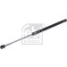 FEBI BILSTEIN 30882 Gasfeder, Koffer-/Laderaum
