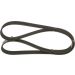 BOSCH Keilrippenriemen 1 987 946 103 BOSCH Keilrippenriemen 1 987 946 103