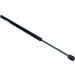 Maxgear Gasfeder, Koffer-/Laderaum 12-0350