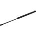 FEBI BILSTEIN 38520 Gasfeder, Koffer-/Laderaum