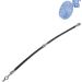 Blue Print Bremsschlauch ADG053220