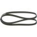 BOSCH Keilrippenriemen 1 987 946 059