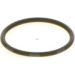 BOSCH Dichtring 1 410 257 029
