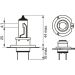 Glühlampe, Hauptscheinwerfer 1 987 301 423 Glühlampe, Hauptscheinwerfer 1 987 301 423