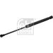 FEBI BILSTEIN 38190 Gasfeder, Motorhaube