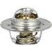 Thermostat, Kühlmittel 725135 Thermostat, Kühlmittel 725135