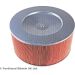 Blue Print Luftfilter ADM52209