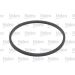 Valeo Kraftstofffilter 587923
