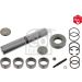 FEBI BILSTEIN 08520 Reparatursatz, Achsschenkelbolzen