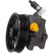 Maxgear Hydraulikpumpe, Lenkung 48-0096