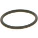 BOSCH Dichtring F 00V C38 042