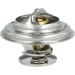 Thermostat, Kühlmittel 725096 Thermostat, Kühlmittel 725096