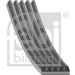 FEBI BILSTEIN 28866 Keilrippenriemen 1230mm, 5 Rippen , EPDM