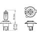 BOSCH Glühlampe Pure Light WS 1 987 302 104