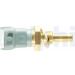 Delphi Sensor, Kühlmitteltemperatur TS10253