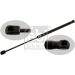 FEBI BILSTEIN 39301 Gasfeder, Motorhaube