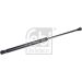 FEBI BILSTEIN 33060 Gasfeder, Koffer-/Laderaum