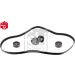 FEBI BILSTEIN 45967 Keilrippenriemensatz