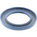Dichtring 12003802B
