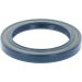 Dichtring 12001698B Dichtring 12001698B