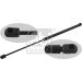 FEBI BILSTEIN 29977 Gasfeder, Koffer-/Laderaum