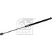 FEBI BILSTEIN 177361 Gasfeder, Koffer-/Laderaum