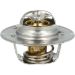 Thermostat, Kühlmittel 725155