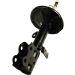 Maxgear Stoßdämpfer 11-1166