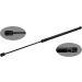 FEBI BILSTEIN 49239 Gasfeder, Koffer-/Laderaum