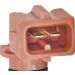 Sensor, Ansauglufttemperatur 255605 Sensor, Ansauglufttemperatur 255605