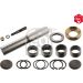FEBI BILSTEIN 08802 Reparatursatz, Achsschenkelbolzen