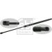 FEBI BILSTEIN 27748 Gasfeder, Koffer-/Laderaum