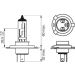 Glühlampe, Hauptscheinwerfer 1 987 301 152 Glühlampe, Hauptscheinwerfer 1 987 301 152