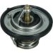 Thermostat, Kühlmittel 67-0096 Thermostat, Kühlmittel 67-0096