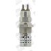 BorgWarner (BERU) Glühkerze GF529