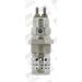 BorgWarner (BERU) Glühkerze GF529