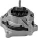 Tedgum Lagerung, Motor TED99821