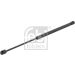 FEBI BILSTEIN 27937 Gasfeder, Heckscheibe