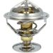 Thermostat, Kühlmittel 725200 Thermostat, Kühlmittel 725200