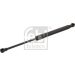 FEBI BILSTEIN 29433 Gasfeder, Motorhaube