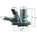Mahle Thermostat, Kühlmittel BEHR TI 258 80