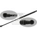 FEBI BILSTEIN 40905 Gasfeder, Koffer-/Laderaum